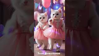 Download lagu kupu kupu-kupu terbang melayang kucing imut sedang berjoget😹😸 #kucingimut #kucingjoget  #kucinglucu mp3