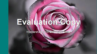 DO YOU WANNA DANCE WALTER BEASLEY