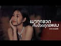 เมาทุกขวด เจ็บปวดทุกเพลง กวาง ดวงฤท�