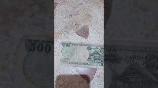 Download lagu uang 500 gambar monyet mp3