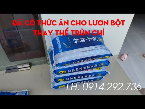 Thức ăn lươn bột | 0914292736