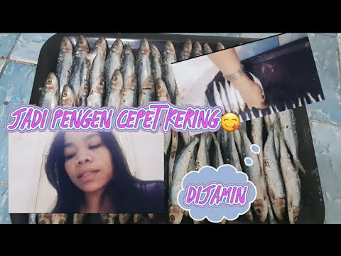 BELAJAR BIKIN IKAN ASIN,AUTO TIDAK GAGAL ALIAS ASIIIIIIN😁😁👌👌