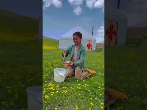 Душевная французская песня о Кыргызстане