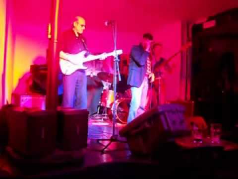 blues anytime scimmie milano