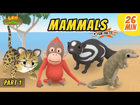 Witness21 Editor  2021 01 01