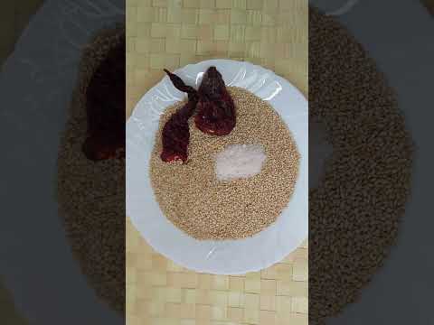 Gomashio For Calcium