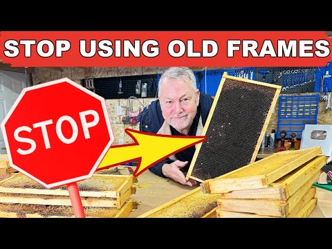 Beekeeping NEVER Ends Well When Using Deadly Old Frames