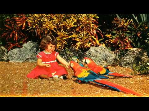 Fear Club - Parrots (feat. Le Fawnhawk)