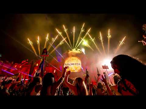 Showtek Mix 2021 - Best Songs & Remixes┃Part One