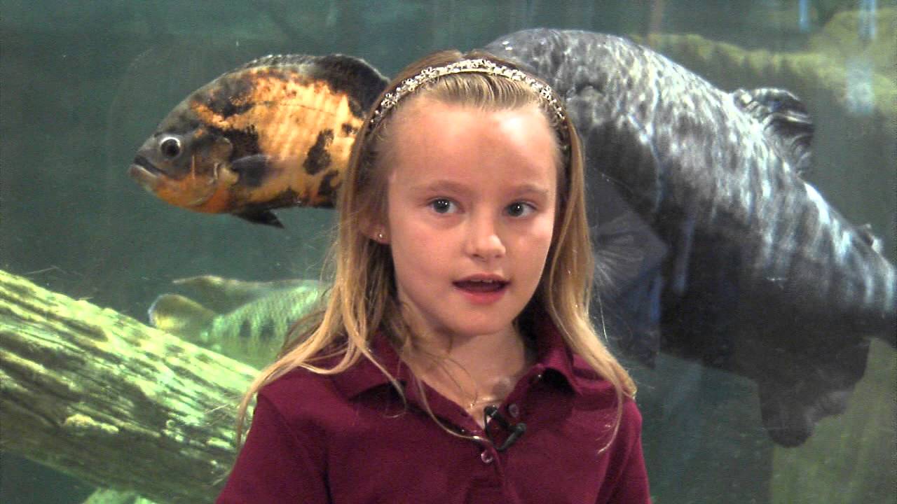 Loxahatchee River Center - The River Center