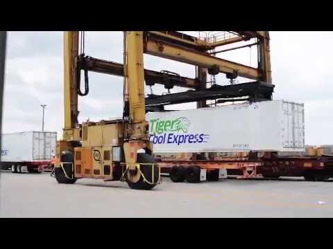 Voices In America - Tiger Cool Express