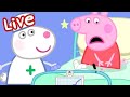PEPPA PIG FULL EPISODES BRAND NEW PEPPA PIG TALES EPISODES LIVE 24 7 Playtime With Peppa