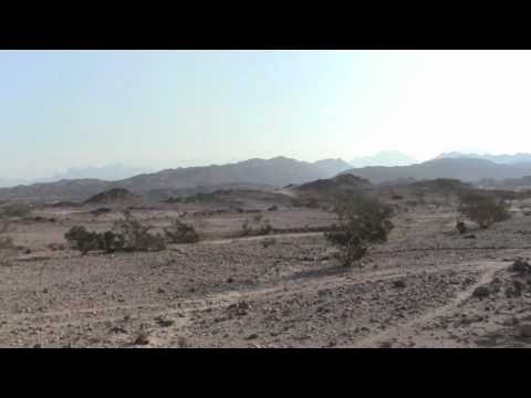 swales before & after