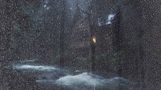 Heavy Rain in the Ancient Forest River | Sleep Soundly, Relieve Stress & Relax | 30 Minutes