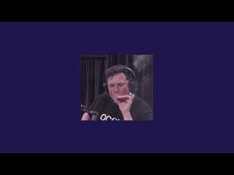 Cypis & Zbigniew Stonoga - Jaranka u jarka (Slowed + Reverb)