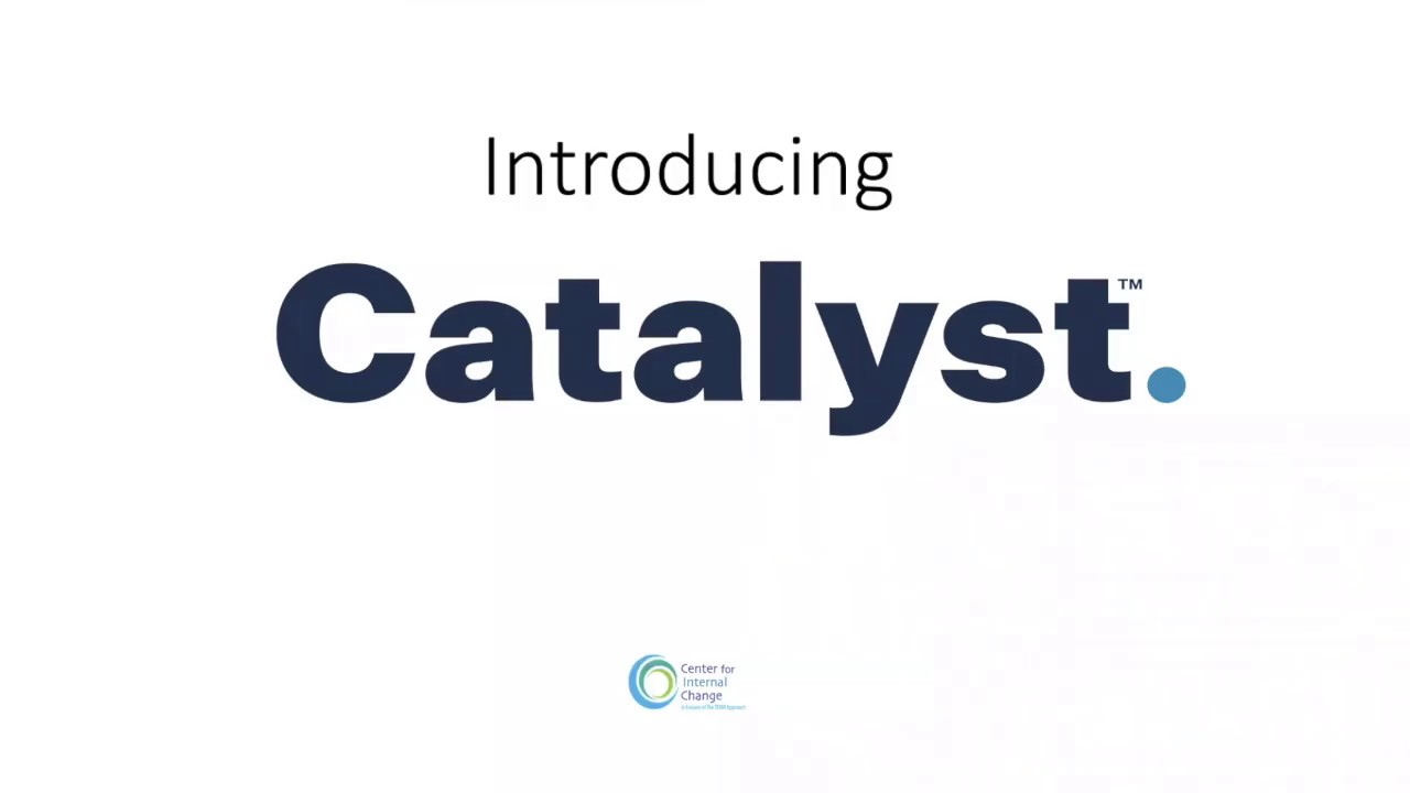 What is Everything DiSC Catalyst?