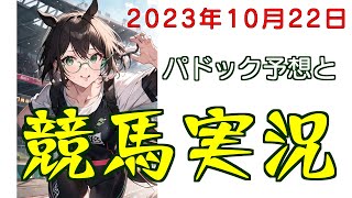 パドック予想で競馬実況.2023.10.22
