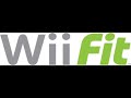 I Salute Wii Fit