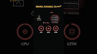 Find What's Slowing Down Your Linux Server 🐢