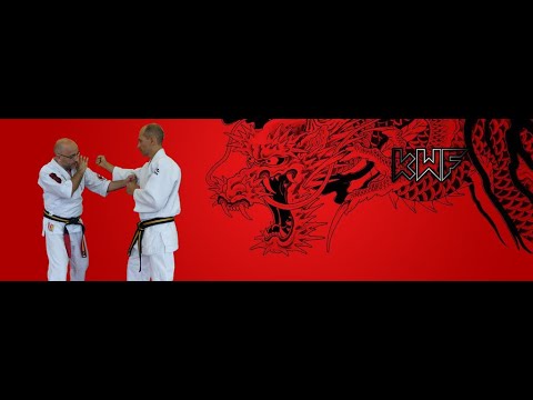 KWFHS03 (Frappes Kyusho Waza France)