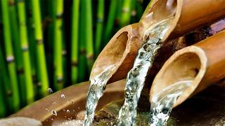 BAMBOO WATER FOUNTAIN | Relax & Get Your Zen On | White Noise | Tinnitus Relief