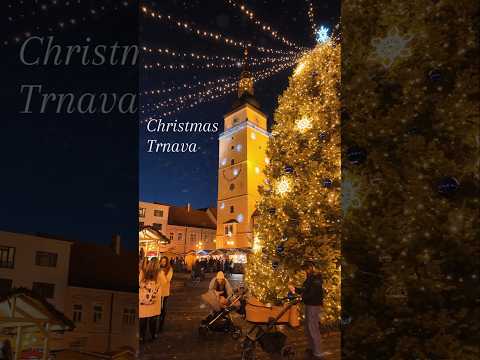 ✨️ Christmas in Trnava 🎄
