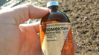 Ссылка