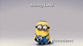 Download lagu Funny minions WhatsApp status video mp3