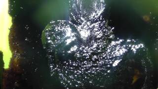 DYNAMIC NOISE