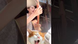 Download lagu Cover Lagu Bawalah cintamu #bawalahcintaku  #musikviral  #songs  #Coverlaguziel #ziellferdian mp3