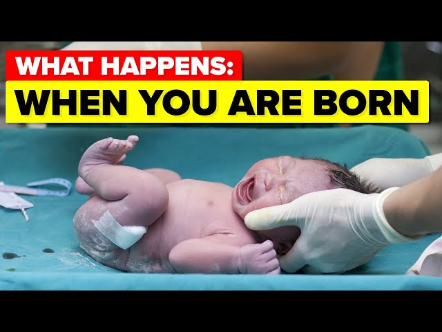 Видео Произношение born в Английский