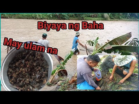 Part 2 Bagyong Paeng/ Biyaya Ng Baha/ sudsud/ Buhay probinsya