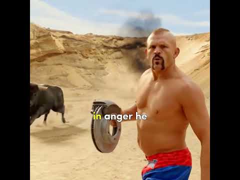 Shark vs Man – Who Wins? 🤔