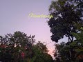 Pushparani Song Lei Lei