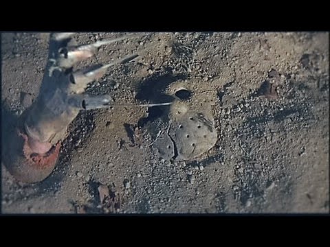 Freddy Vs Jason- How Can I Live (Horror music video)