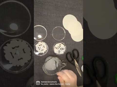 How to Make Borax Crystal Snowflakes