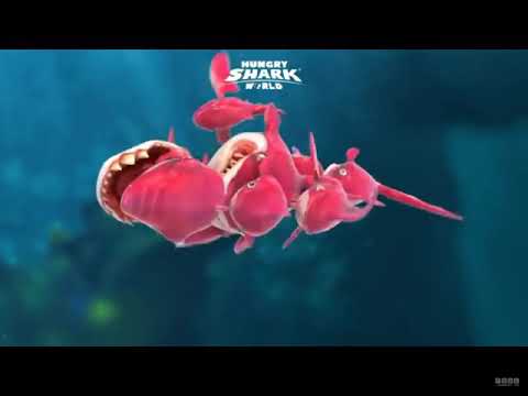 Dudley Hungry shark world the frenzy it's here