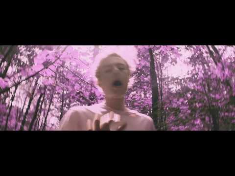Young Lungs - Pink Tree (OFFICIAL MUSIC VIDEO)
