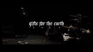 Hummingbirds by Gifts For The Earth (live-session)