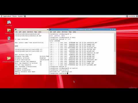 098 Oracle DBA Complete Tutorial - Performing a Cold Backup manually