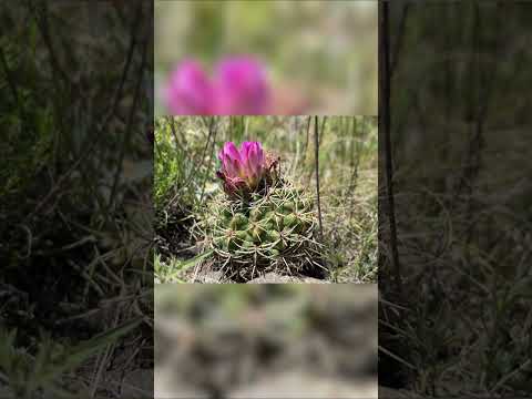 El Velo de la novia es un lugar para visitar en todas las estaciones del año.