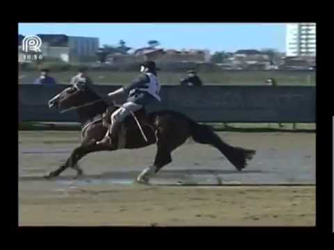 Sul RS – 2° lugar machos – PN Cambiasso