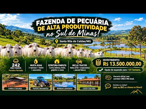 FAZENDA DE PECUÁRIA 242 HECTARES EM SANTA RITA DE CALDAS - SUL DE MINAS GERAIS