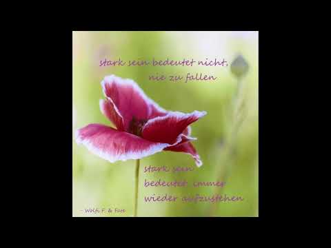 WOLFI F. und FATE - HHIDL