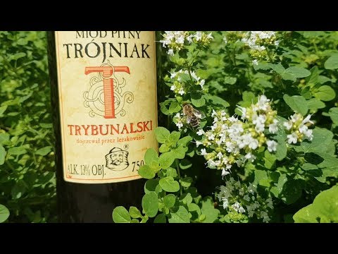 Kings of Mead odc. 66 - Miód pitny Trójniak Trybunalski - degustacja