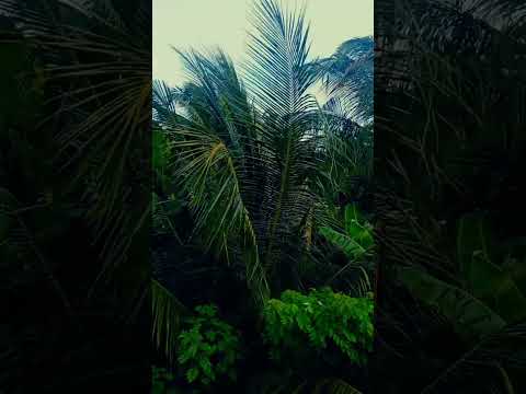 cheruthuruthi nedumpura west aquadate