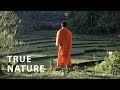 1 KEY Reason People Suffer | A Buddhist Monk Explains
