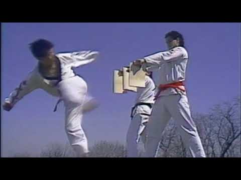 AWESOME THREE SPEED SPINNING HOOK KICKS BREAKING 3 BOARDS IN THE SPACE