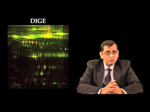 Proteins and Gel-Based Proteomics