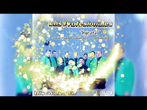 INGRATA Super Combo LOS PROFESIONALES de Zea, Mérida-Venezuela